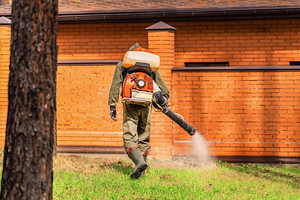 Cockroach Follow-Up and Monitoring in Warren